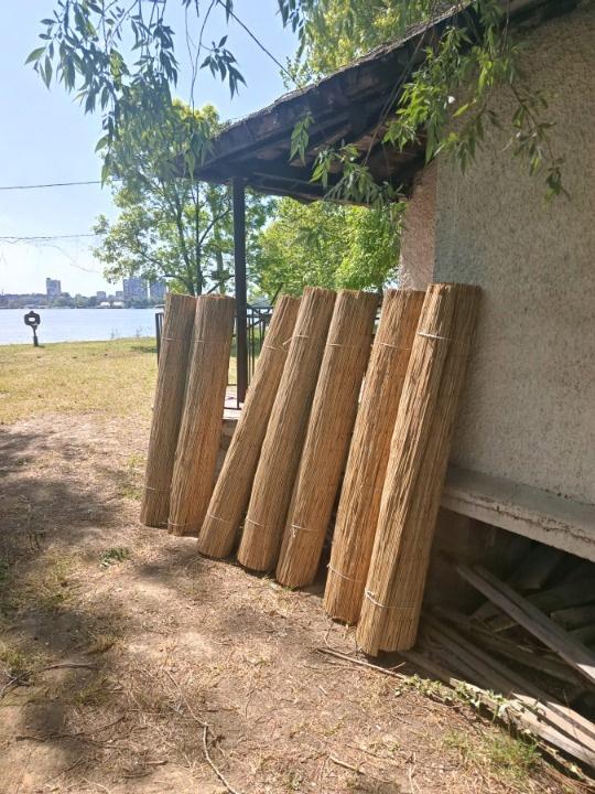 Trska-za-ograde