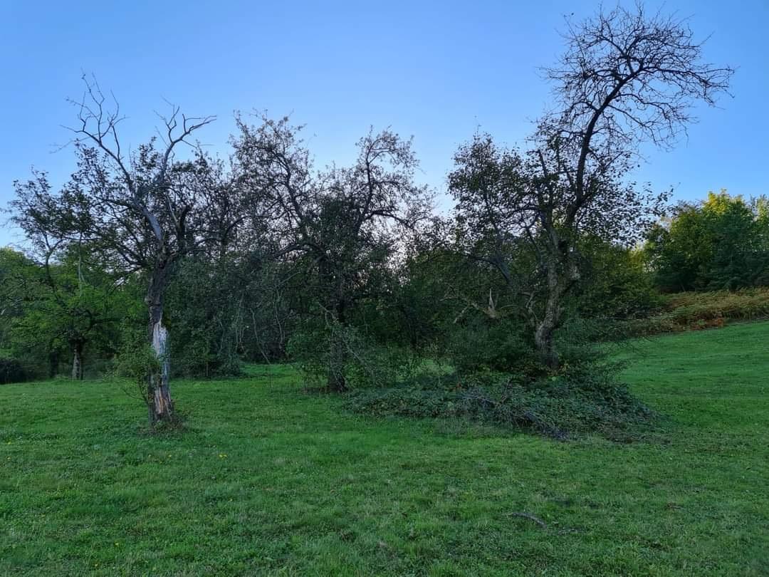 Imanje-6-4-ha--Selo-Rastoka--Bijelo-Polje