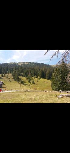 Pljevlja, Bobovo, Ogradjenica