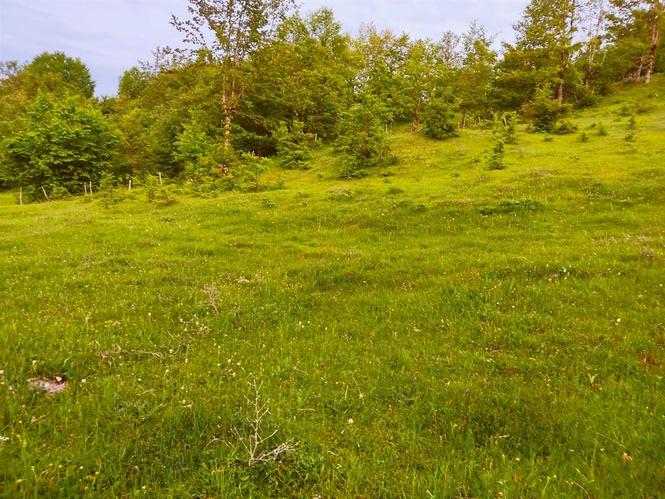 Plac na prodaju