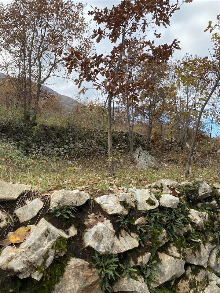 Prodaja-Zamjena