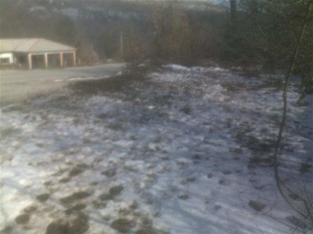 Zemljiste na Pastrovackoj gori 10.000m2