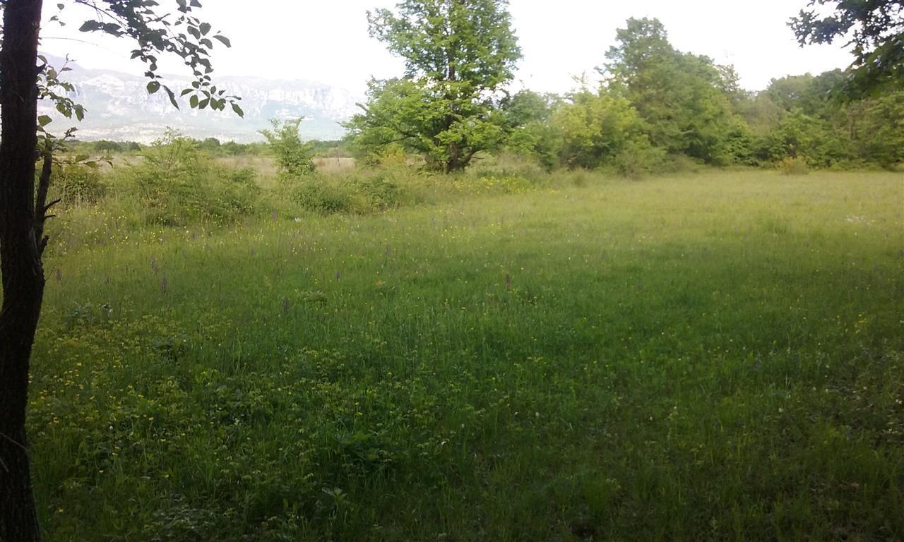 Plac-3100m2-Begovina-Danilovgrad