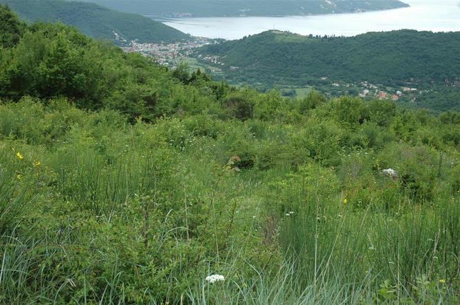 Plac u Lastvi 