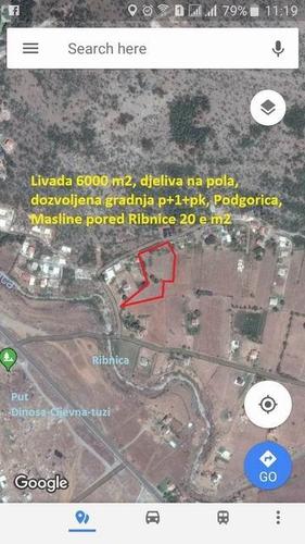 Livade Novoselo
