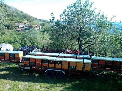 Pcelarska prikolica