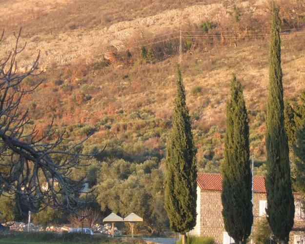 Plac povrsine 3561 m2 Rezevici