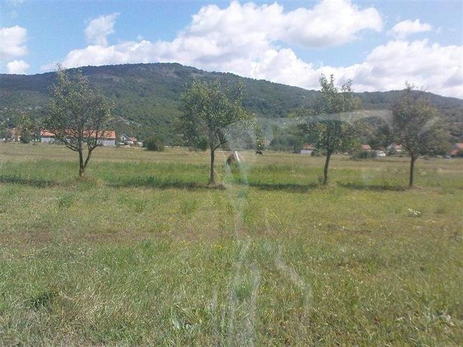 Plac od 11000m2 Ozrinici