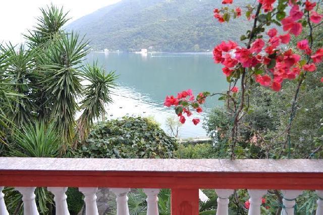 Apartmani Mijuskovic