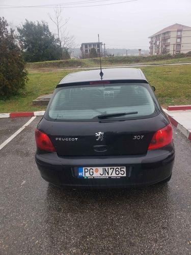 Pezo 307