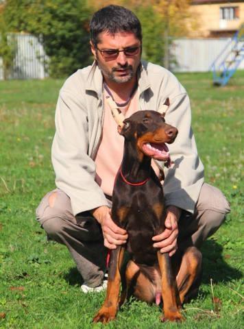 Vrhunski-stenci-DOBERMANA