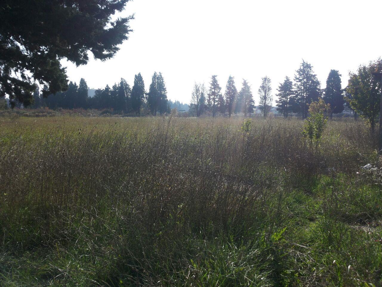 Gradjevinsko-zemljiste-u-Ulcinju