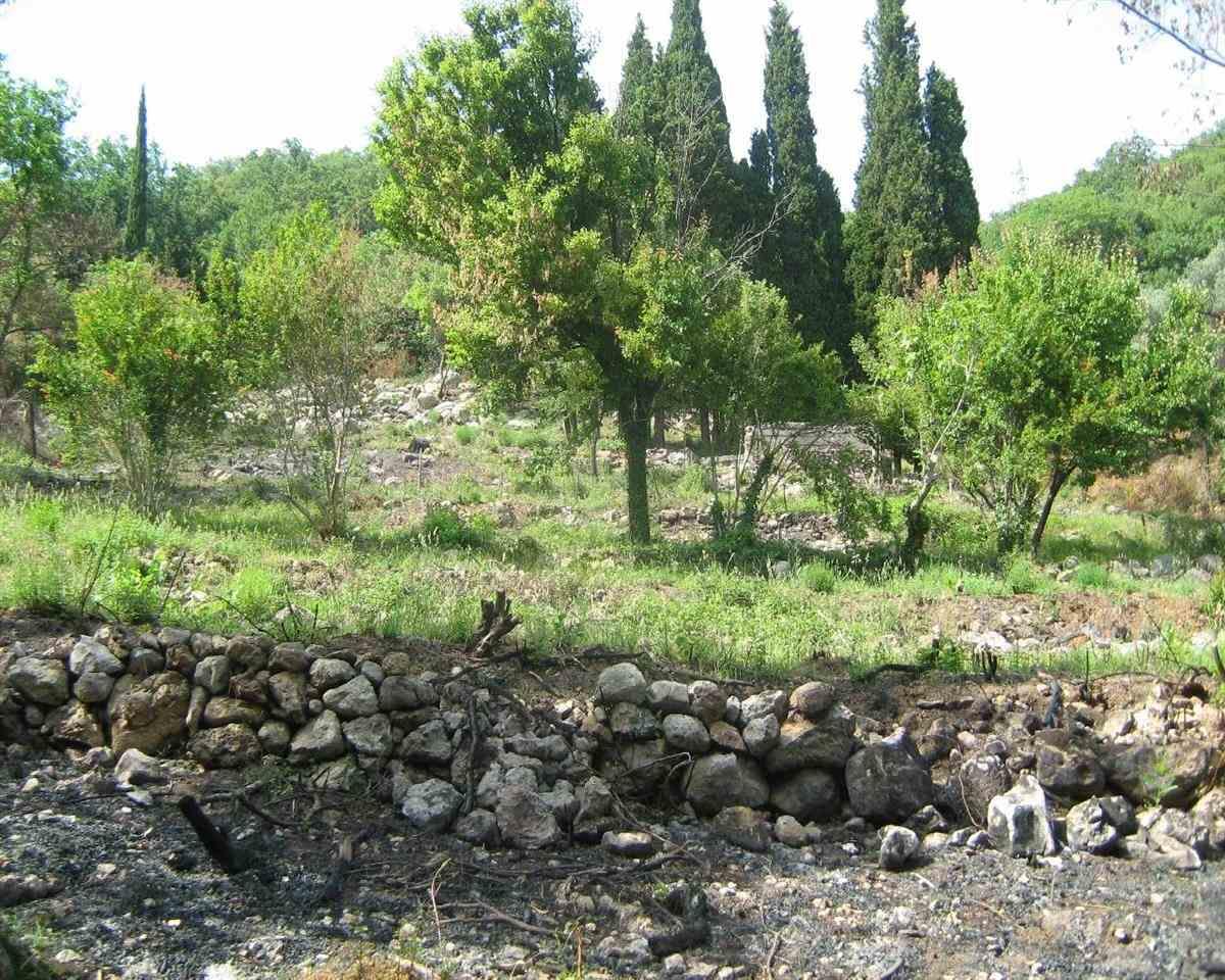 Plac-povrsine-4000-m2-iznad-magistrale-Voda