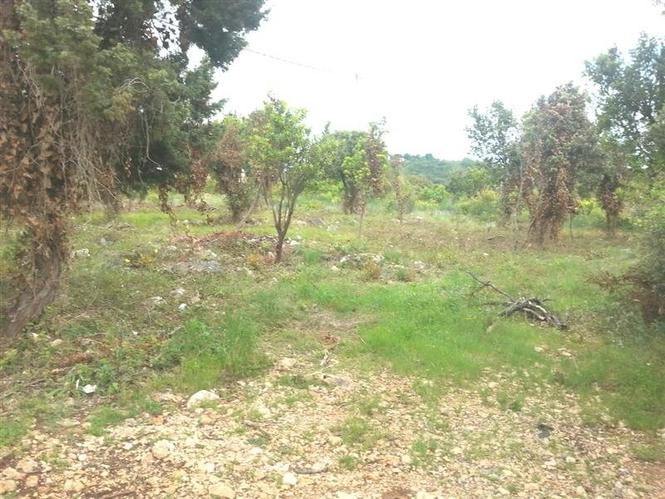 Plac 831 m2 u Baru