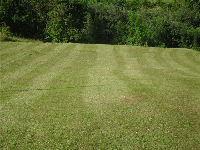 Plac od 30000m2 u Kolasin