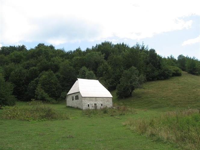 Sjajan plac 52000m2 sa kamenom kucom