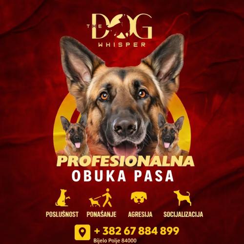 Obuka Pasa