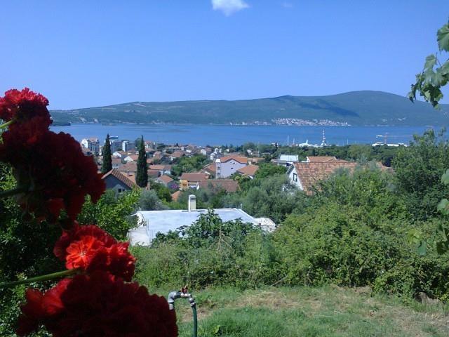 Placeve u Tivtu Mazine 3