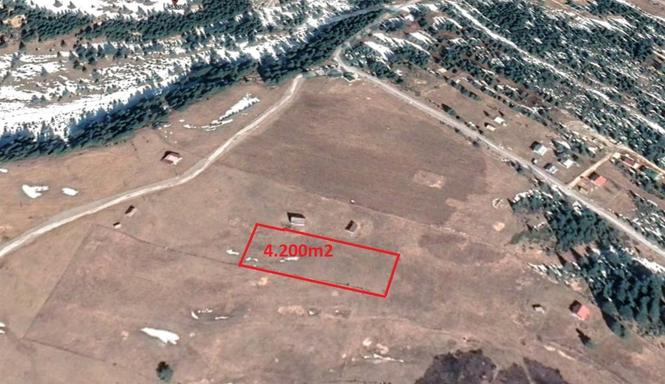 Žabljak-Uskoci: Prodajem zemlju 4.200m2