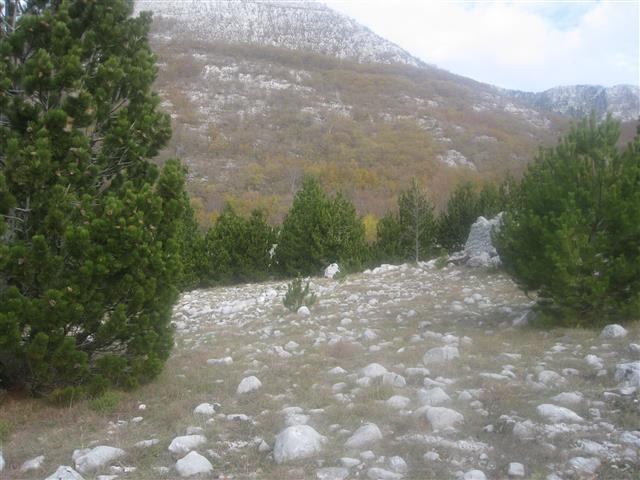 Plac  6358 m2 iznad Herceg Novog