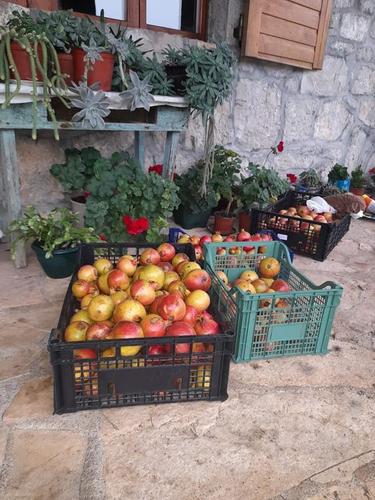 Sok od šipka - 069268522