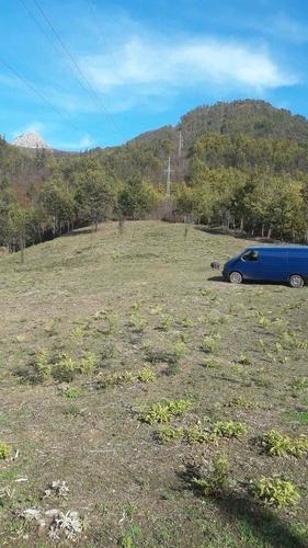 Imanje Manastir Moraca 25 000 kvadrata