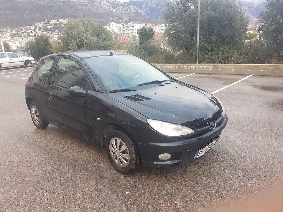 Pezo-206-1100