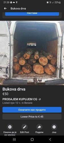 Bukova drva
