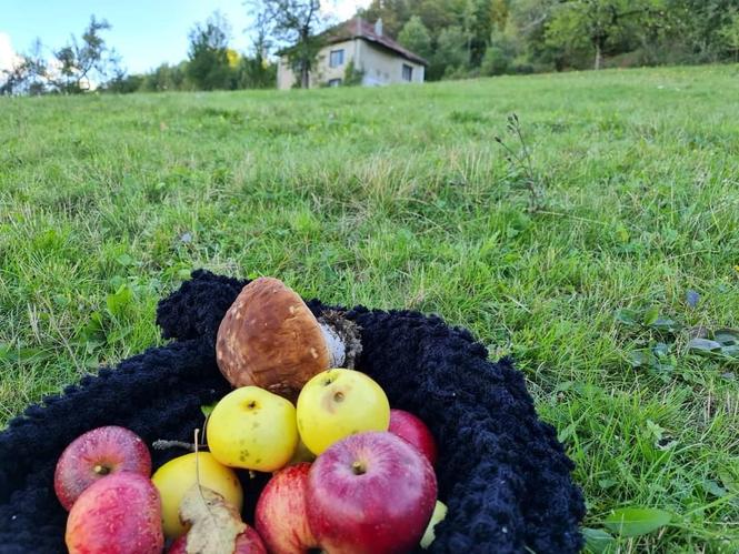Imanje 6,4 ha, Selo Rastoka, Bijelo Polje
