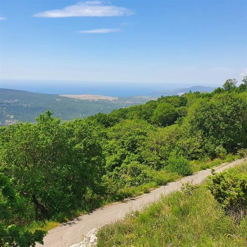 Prodaje se zemljiste Kotor 4160m2