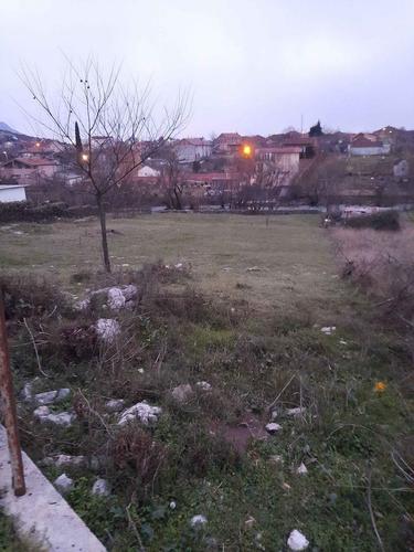 Plac