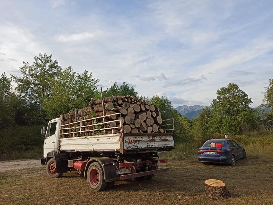 Drva-069451579