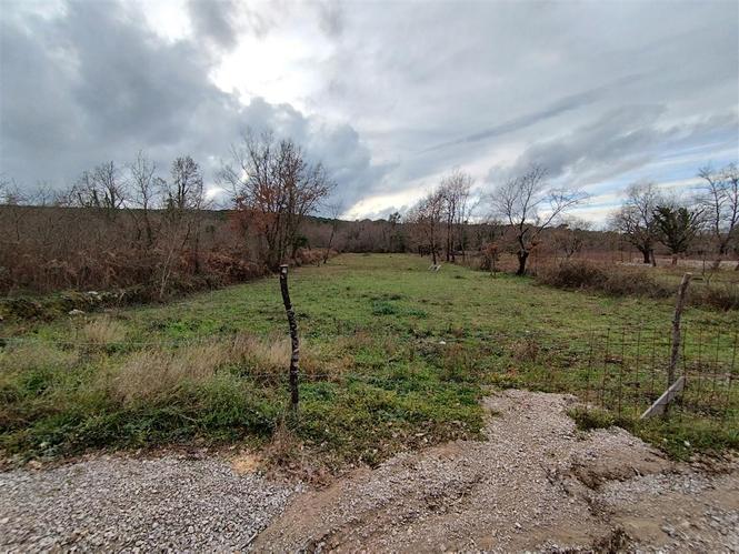 Prodajem plac u Visnjevi 1670m²