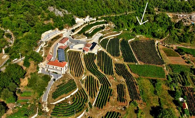 Prodajem plac pored vinarije u Dobrskom Selu
