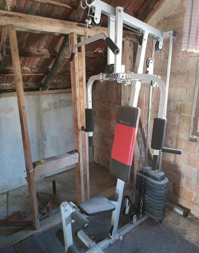 dinamix gladijator