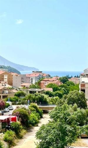 Jednosoban stan kod Tehnomaxa, Budva