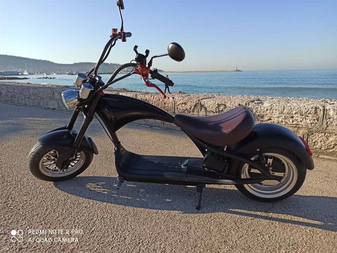 Elektricni motor Harley Davidson 