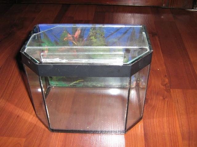 Akvarijum za ribice