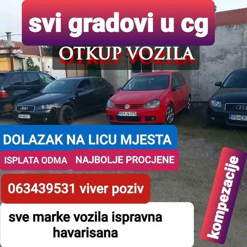 063439531