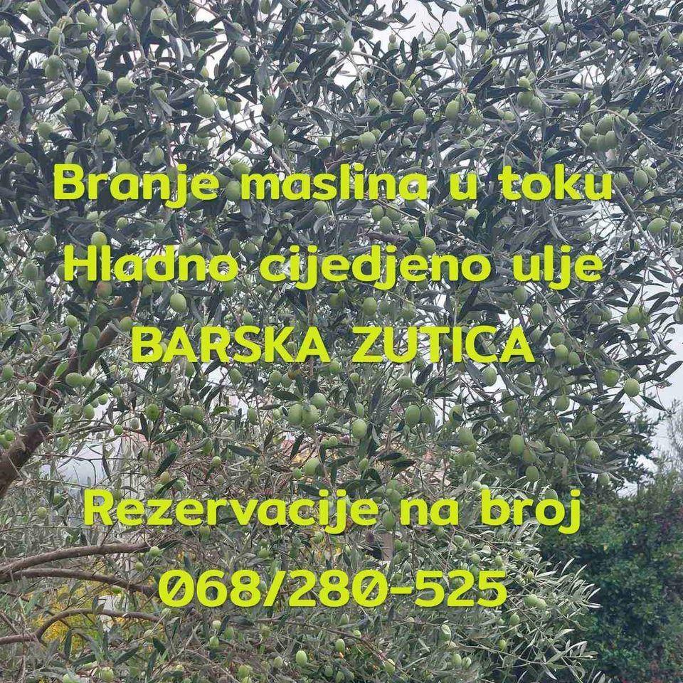 Maslinovo-ulje