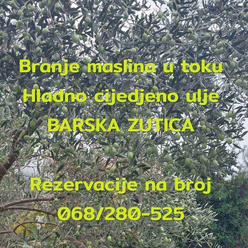 Maslinovo ulje
