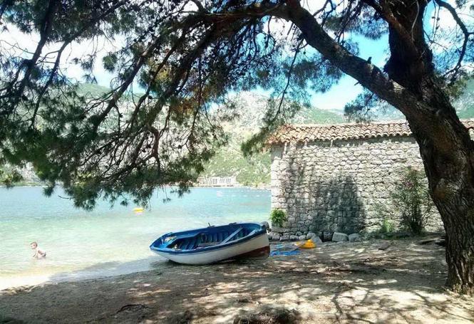 Apartmani i sobe u Risnu