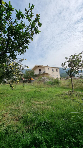 Prodajem kuću, Zlatica