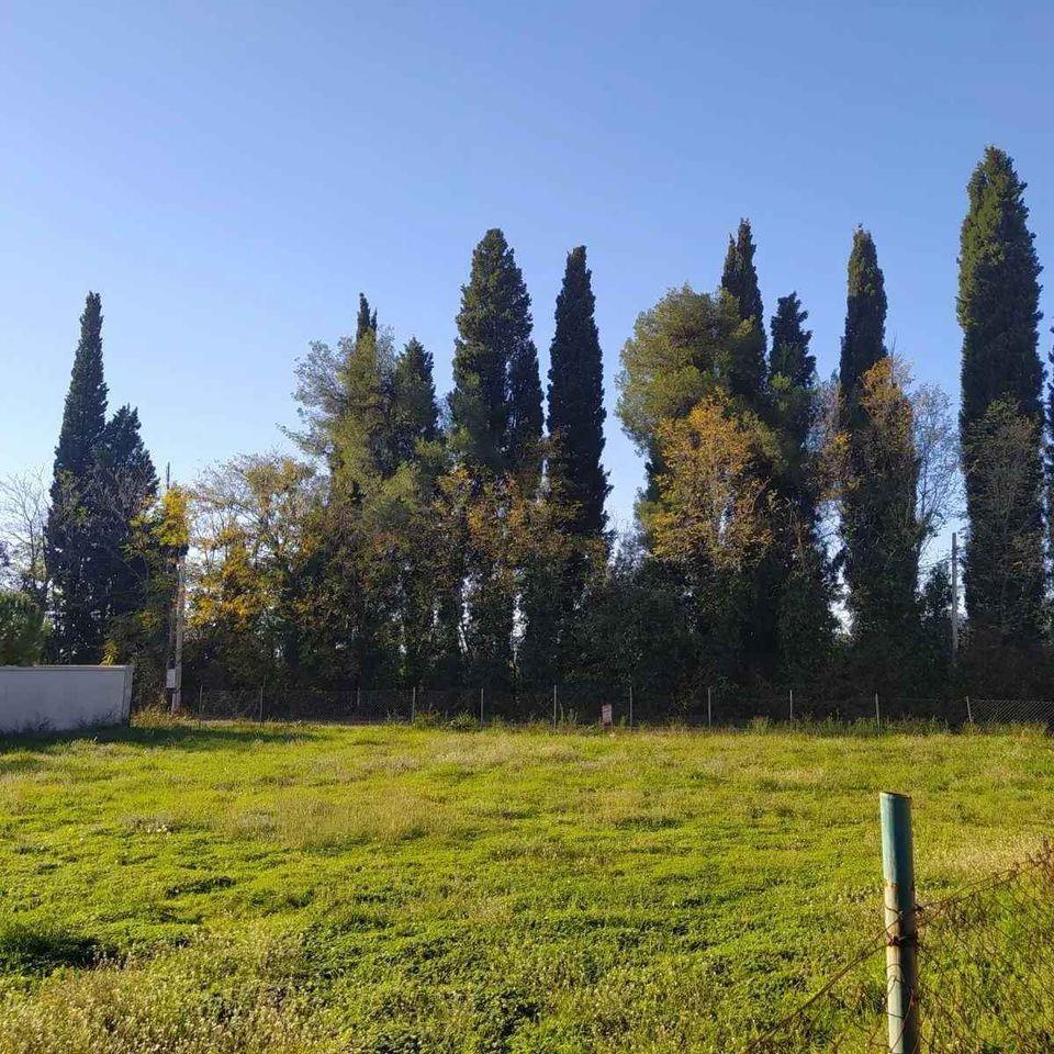 Plac-u-Podgorici