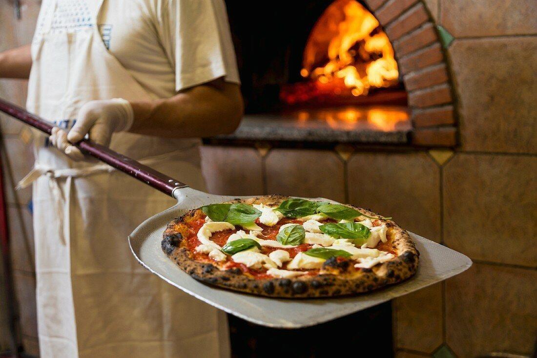 Posao-za-pizza-majstore