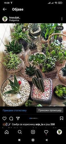 Na prodaju terarijumi raznih velicina, cijene od 7-15€ Sve i