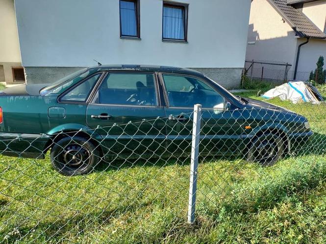 Golf 3, Vento i Passat.