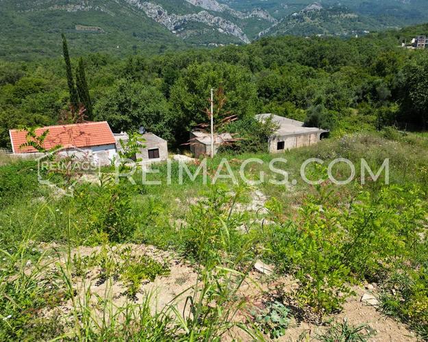 Plot in Zupci, Bar