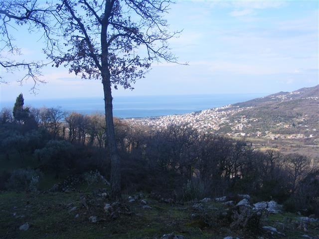 Gradjevinski plac 2330m2 - Sustas