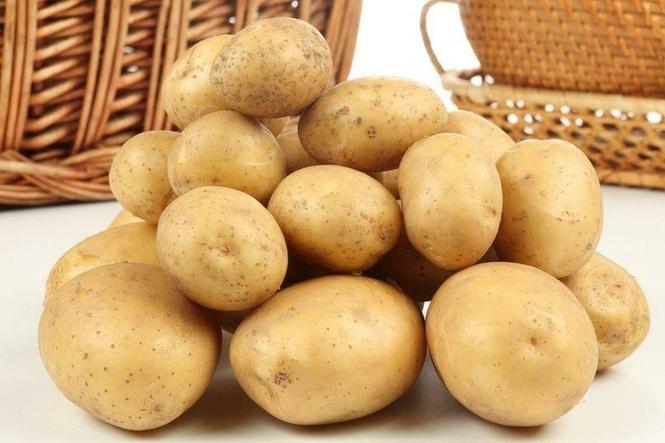 Agrija zuta